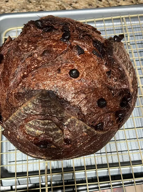 Un levain au chocolat noir, des morceaux de chocolat dans la croûte.