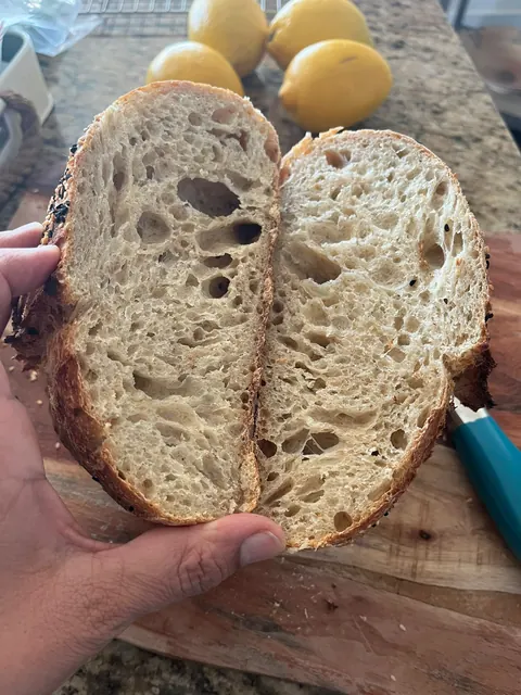 Une miche déchirée en deux, à la main, qui montre sa mie alvéolée.