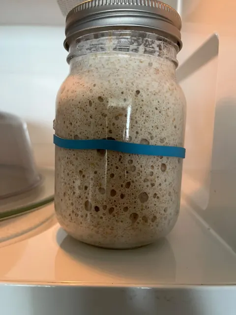 Le levain de Suzie dans un grand bocal en verre, plein de bulles, un élastique bleu autour.